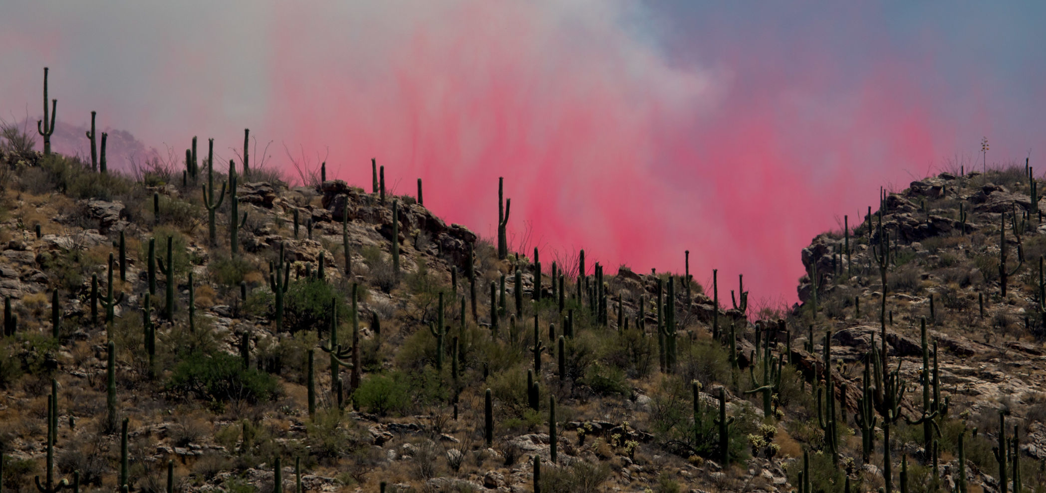 Bighorn Fire - Arizona